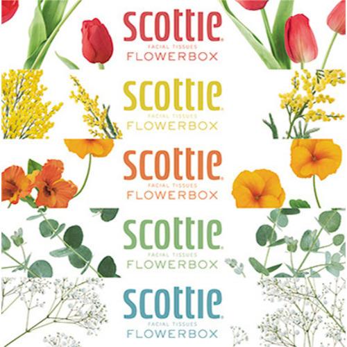 日本製紙 スコッティ ティシュー フラワーボックス 数量限定アウトレット最安価格 3枚 日用消耗品 160組 5コ入