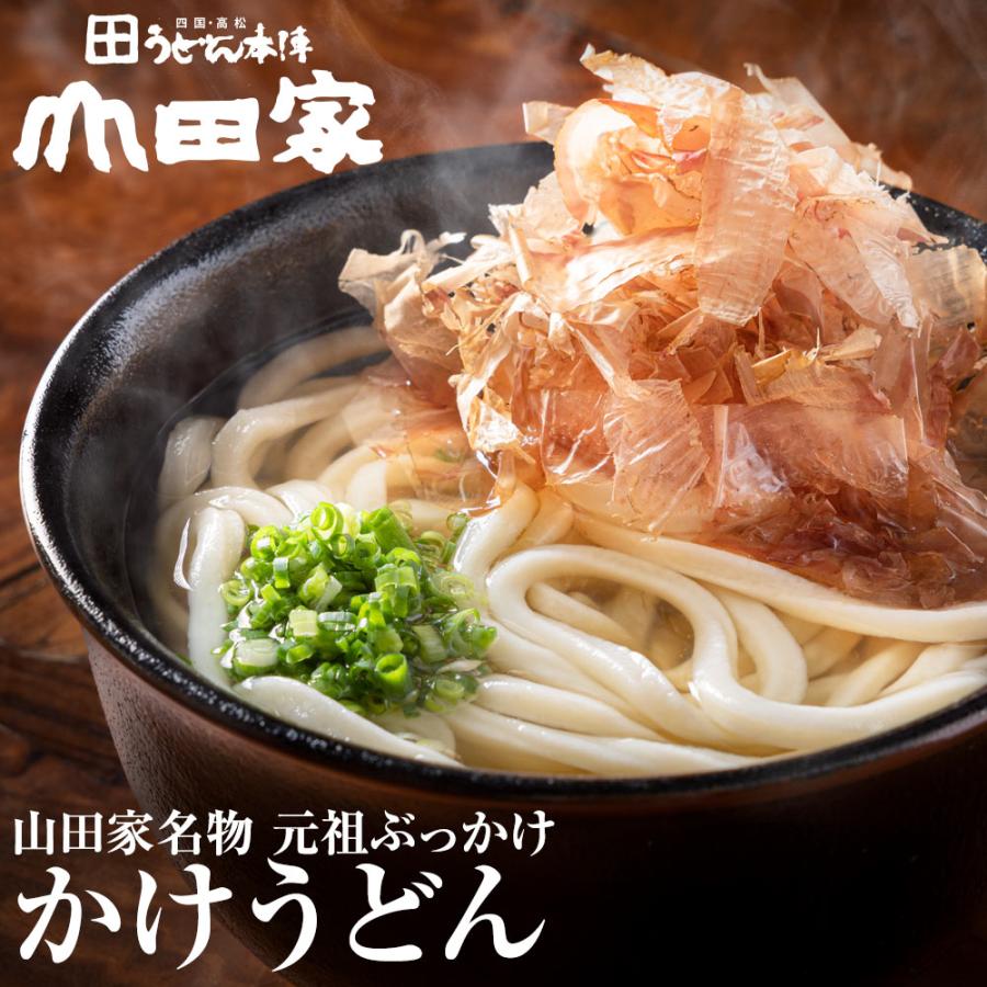山田家 純生 讃岐うどん かけうどん 煮出して調理 本格だしパック