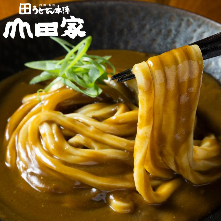 山田家 純生 讃岐うどん 讃岐カレーうどん 2人前 メール便でお届け