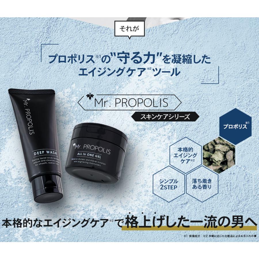 山田養蜂場 Mr. PROPOLIS ディープウォッシュ 100g 洗顔フォーム