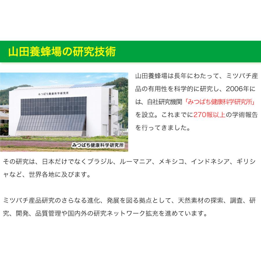 山田養蜂場 ノンアルツBee 90球袋入 プロポリス イチョウ葉 クルクミン
