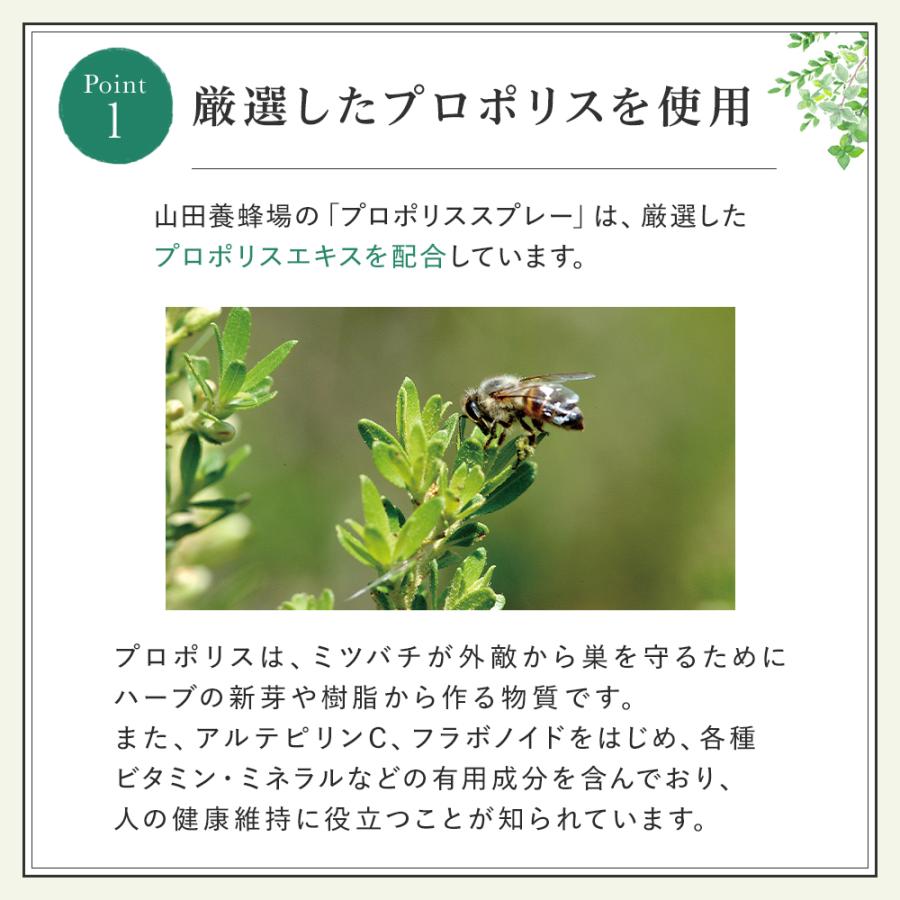 山田養蜂場 ギフトプロポリススプレー<30ml> マヌカ蜂蜜入り プロポリス 健康食品 サプリメント コンパクト すっきり お中元 | 山田養蜂場 | 02