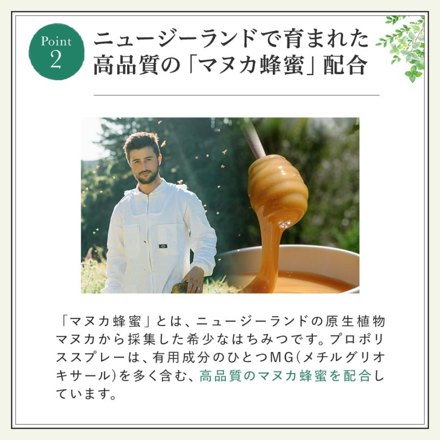 山田養蜂場 ギフトプロポリススプレー<30ml> マヌカ蜂蜜入り プロポリス 健康食品 サプリメント コンパクト すっきり お中元 | 山田養蜂場 | 03