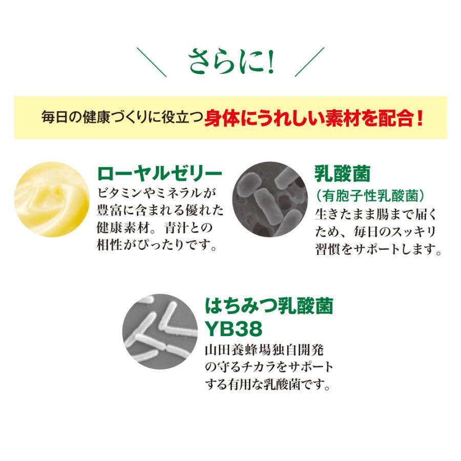 山田養蜂場 ギフトはちみつ青汁4.3g×30包入 大麦若葉 ケール よもぎ ローヤルゼリー 乳酸菌 はちみつ入 スティックタイプ ギフト プレゼント お中元 | 山田養蜂場 | 05