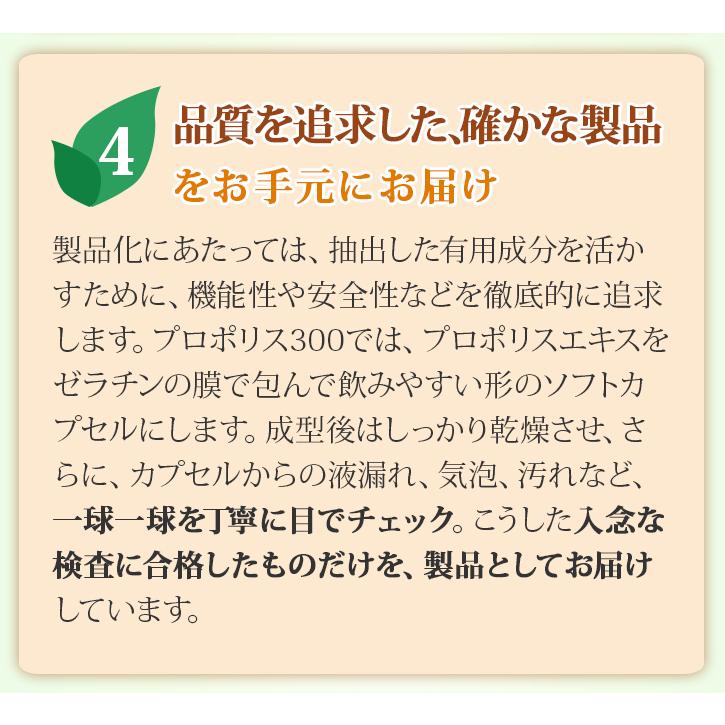 山田養蜂場 送料無料 プロポリス300 100球入 母の日｜yamada3838｜09