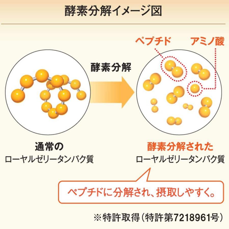 山田養蜂場 送料無料 酵素分解ローヤルゼリー 王乳の華 100粒入(詰替用) ギフト プレゼント サプリメント 健康補助食品 人気 50代 60代 70代 80代 母の日｜yamada3838｜06