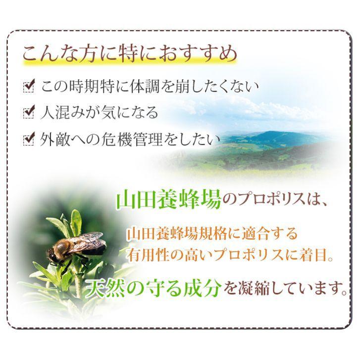 山田養蜂場プロポリス粒 詰替用 300粒 山田養蜂場 プロポリス粒 詰替用(300粒)袋 ギフト プレゼント 健康食品