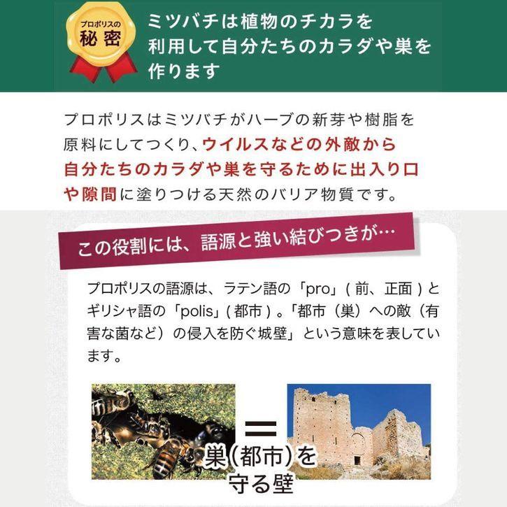 山田養蜂場 プロポリス粒 詰替用(300粒)袋 ギフト プレゼント 健康食品