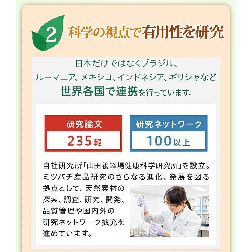 山田養蜂場 プロポリス粒 詰替用(300粒)袋 ギフト プレゼント 健康食品