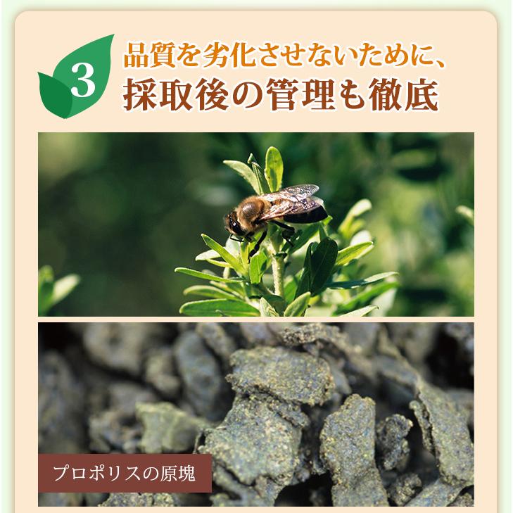 山田養蜂場 プロポリス粒 詰替用(300粒)袋 ギフト プレゼント 健康食品