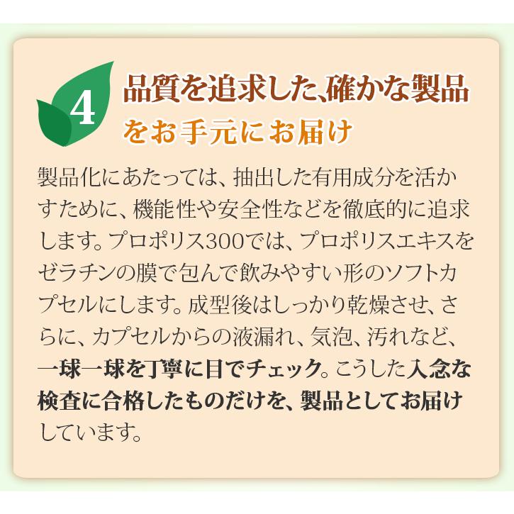 山田養蜂場 プロポリス粒 詰替用(300粒)袋 ギフト プレゼント 健康食品