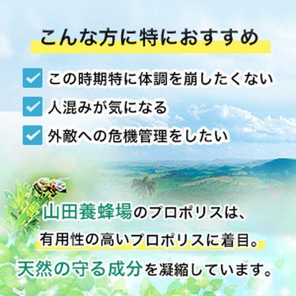 山田養蜂場 プロポリスマイルド 詰替用(240粒)袋 ギフト プレゼント