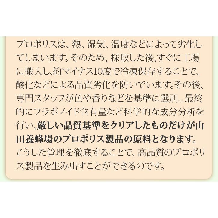 山田養蜂場 プロポリスマイルド 詰替用(240粒)袋 ギフト プレゼント
