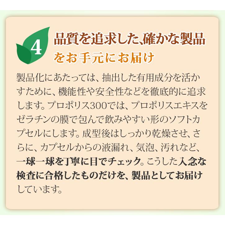 山田養蜂場 送料無料 プロポリスマイルド 詰替用(240粒)袋  健康食品 サプリ ホワイトデー07