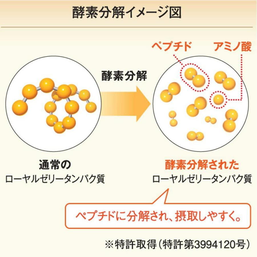 山田養蜂場 酵素分解ローヤルゼリーCoQ10 詰替用(120粒)袋 ギフト プレゼント 健康食品 人気 50代 60代 70代 80代 健康 送料無料 母の日の画像
