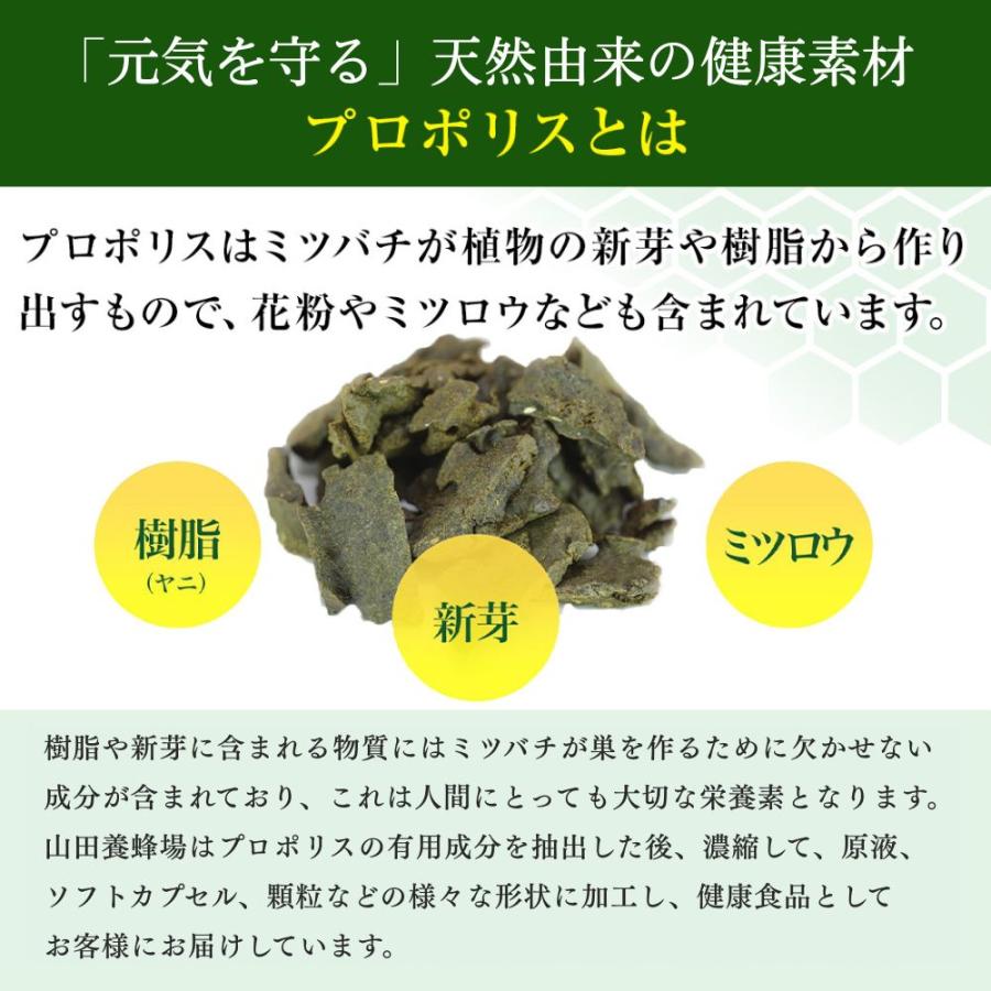 山田養蜂場 プロポリス300 3点セット（瓶1点、袋2点） プロポリス