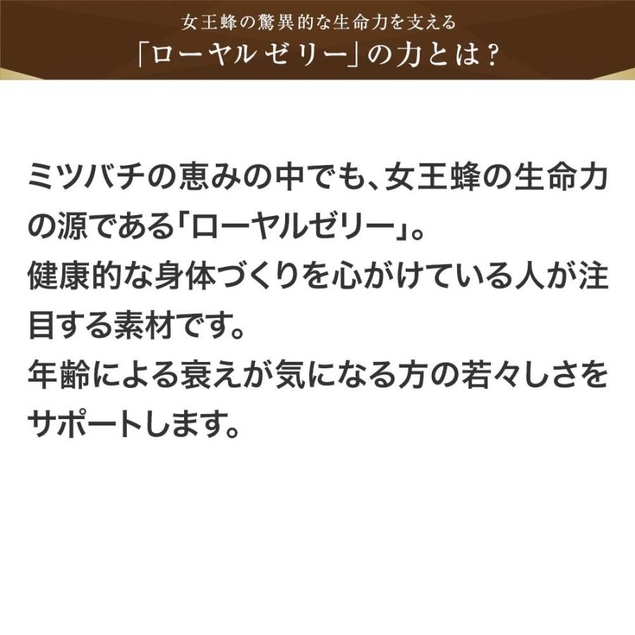 山田養蜂場 送料無料 【7月リニューアル予定】酵素分解ローヤルゼリー キング 12袋セット ギフト プレゼント 健康食品 人気 サプリ 美容 ロイヤル 父の日｜yamada3838｜03