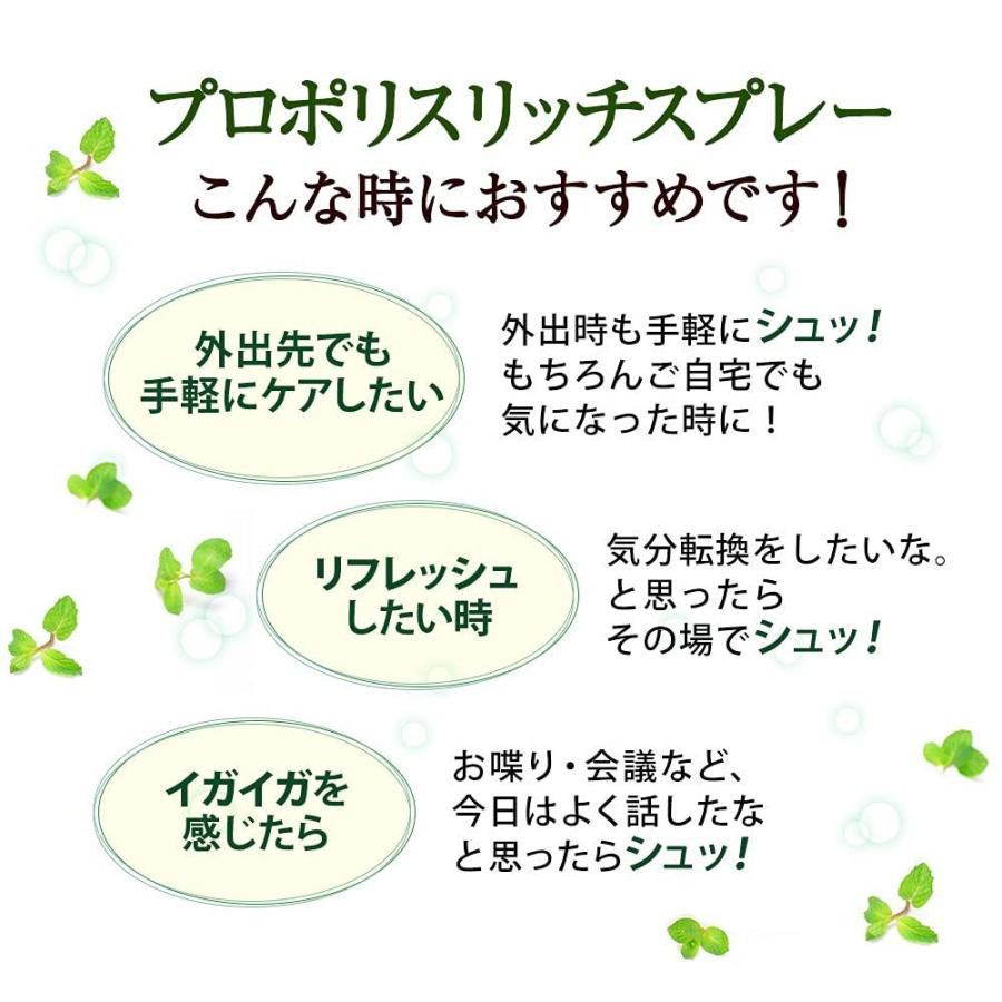 山田養蜂場 送料無料 プロポリスリッチスプレー 30ml 健康 プロポリススプレー 父の日｜yamada3838｜04