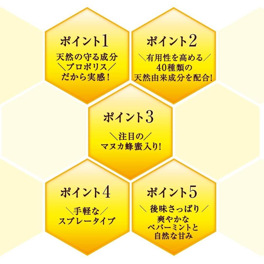 山田養蜂場 送料無料 プロポリスリッチスプレー 30ml 健康 プロポリススプレー 母の日｜yamada3838｜05