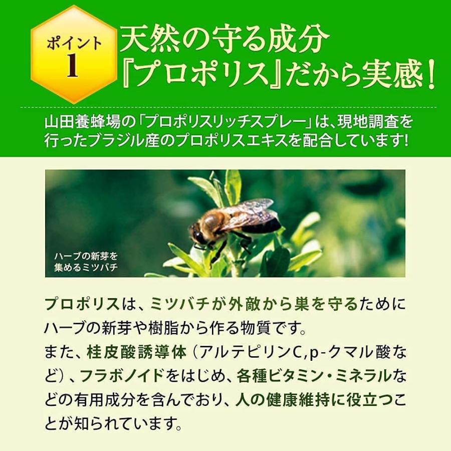 山田養蜂場 送料無料 プロポリスリッチスプレー 30ml 健康 プロポリススプレー 母の日｜yamada3838｜06