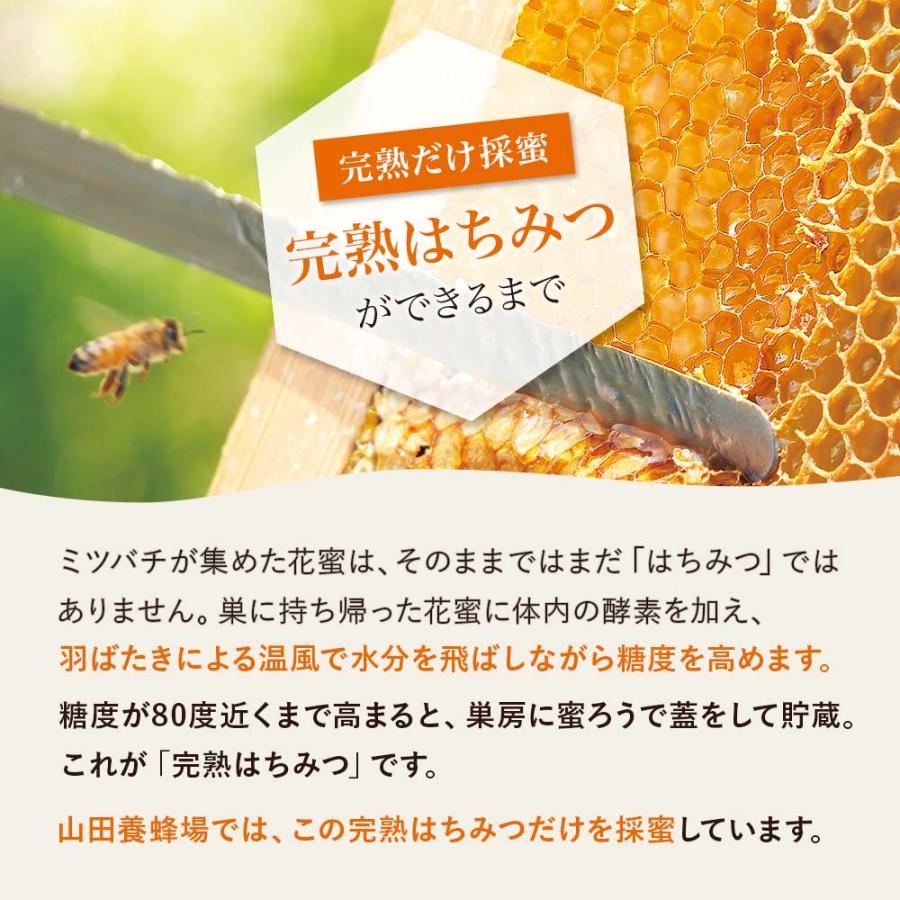 山田養蜂場 アカシア蜂蜜(ルーマニア産)1kg袋 グリホサート検査済