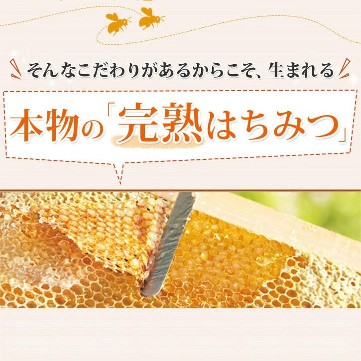 山田養蜂場 アカシア蜂蜜(ルーマニア産) 300gプラ容器 グリホサート