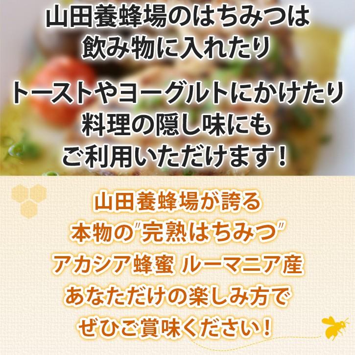 山田養蜂場 アカシア蜂蜜(ルーマニア産) 500gプラ容器 グリホサート検査済 はちみつ ギフト 父の日｜yamada3838｜19