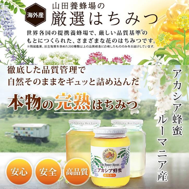 山田養蜂場 アカシア蜂蜜(ルーマニア産) 500gプラ容器 グリホサート検査済 はちみつ ギフト 父の日｜yamada3838｜02