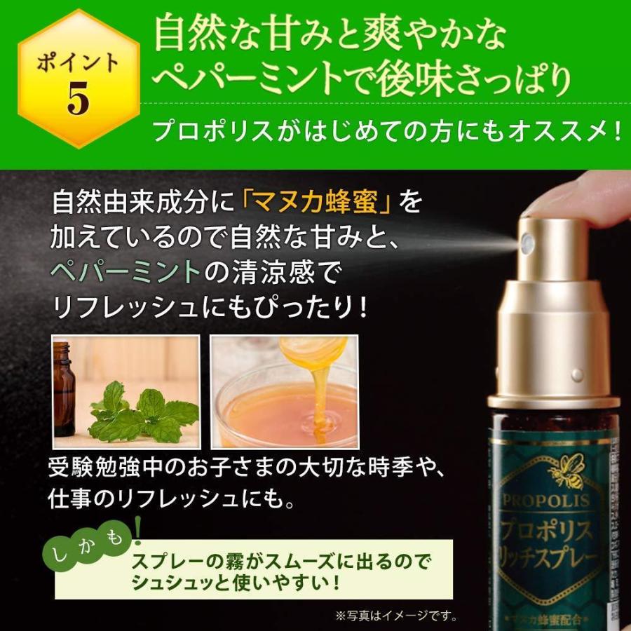 山田養蜂場 プロポリスリッチスプレー 30ml 4本セット はちみつ