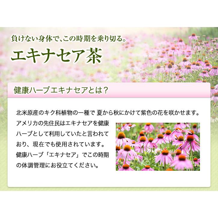 山田養蜂場 エキナセア茶 1.0g×30包 ギフト 父の日｜yamada3838｜02