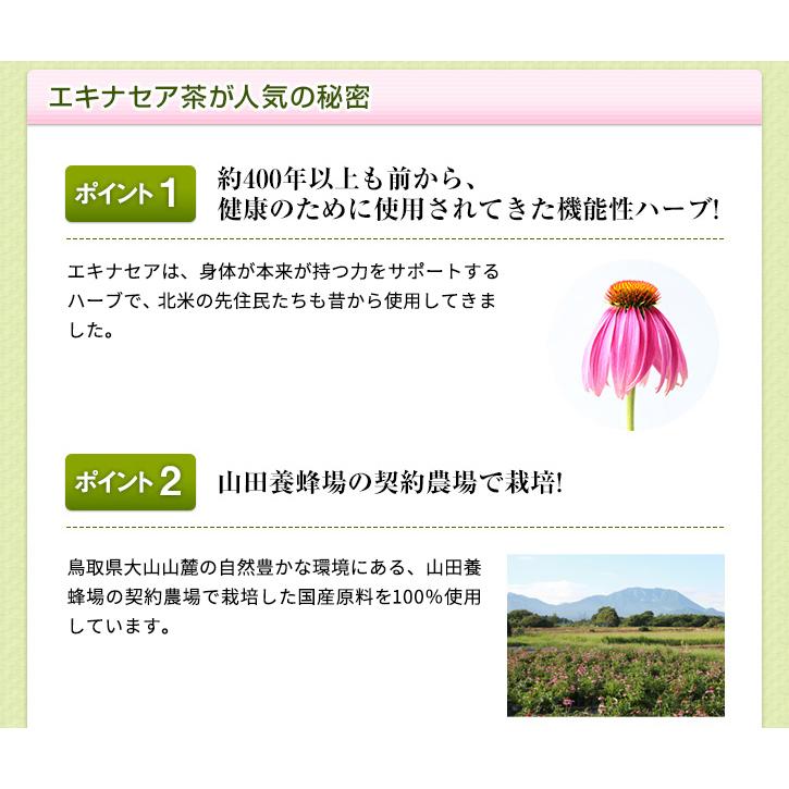 山田養蜂場 エキナセア茶 1.0g×30包 ギフト 父の日｜yamada3838｜04