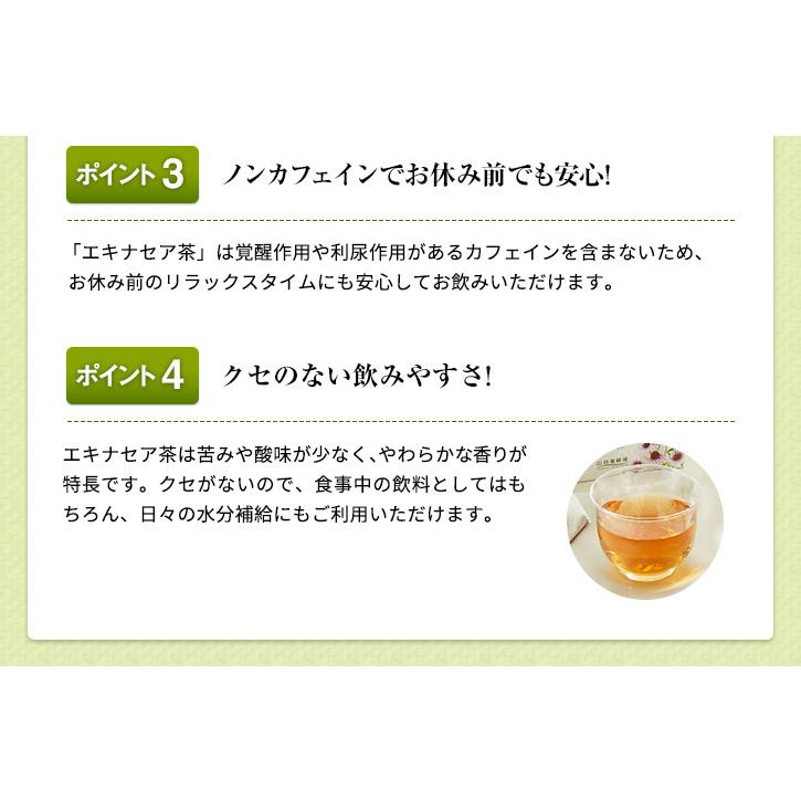 山田養蜂場 エキナセア茶 1.0g×30包 ギフト 父の日｜yamada3838｜05