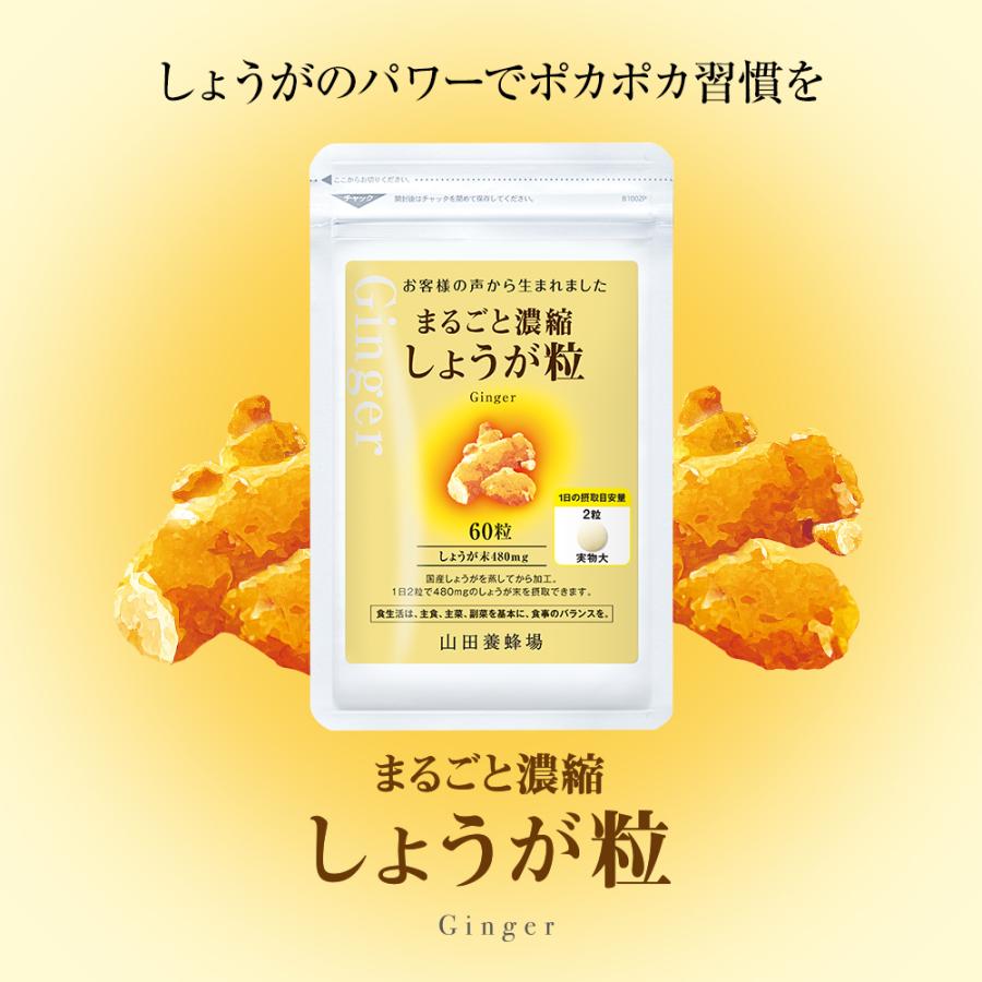 山田養蜂場 まるごと濃縮しょうが粒 60粒袋入 健康食品 サプリ お歳暮