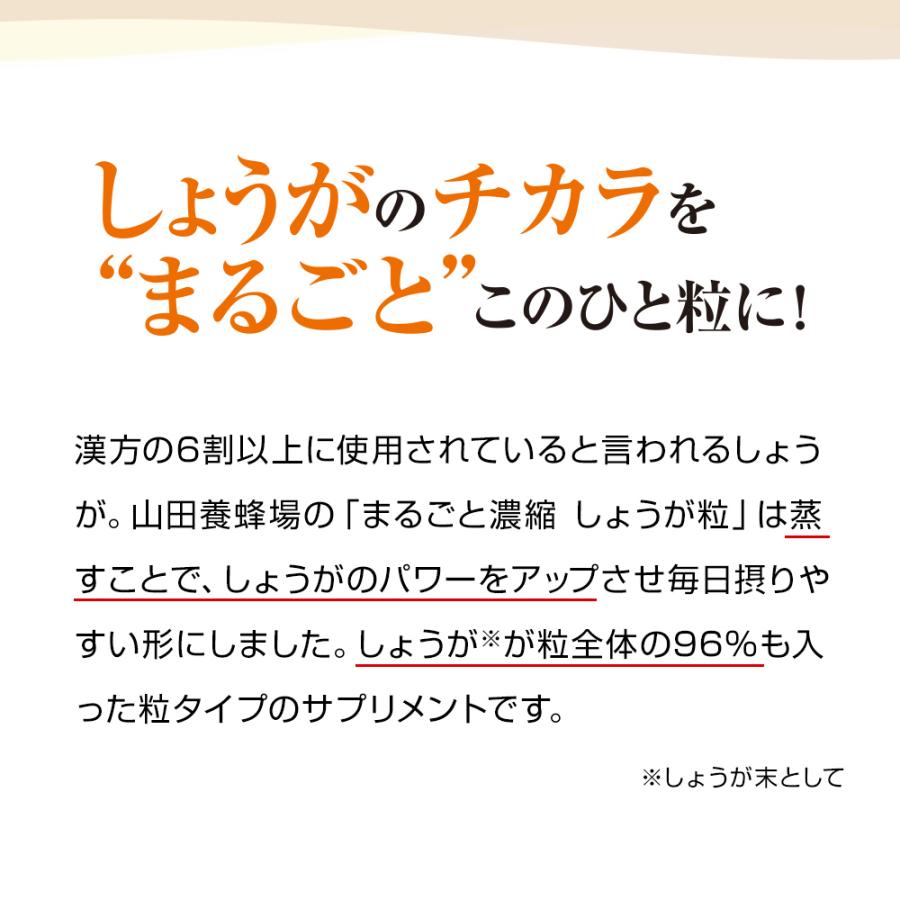 山田養蜂場 まるごと濃縮しょうが粒 60粒袋入 健康食品 サプリ
