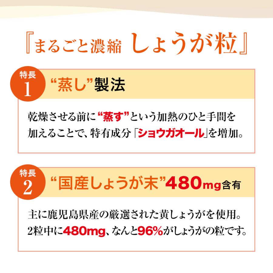 山田養蜂場 まるごと濃縮しょうが粒 60粒袋入 健康食品 サプリ