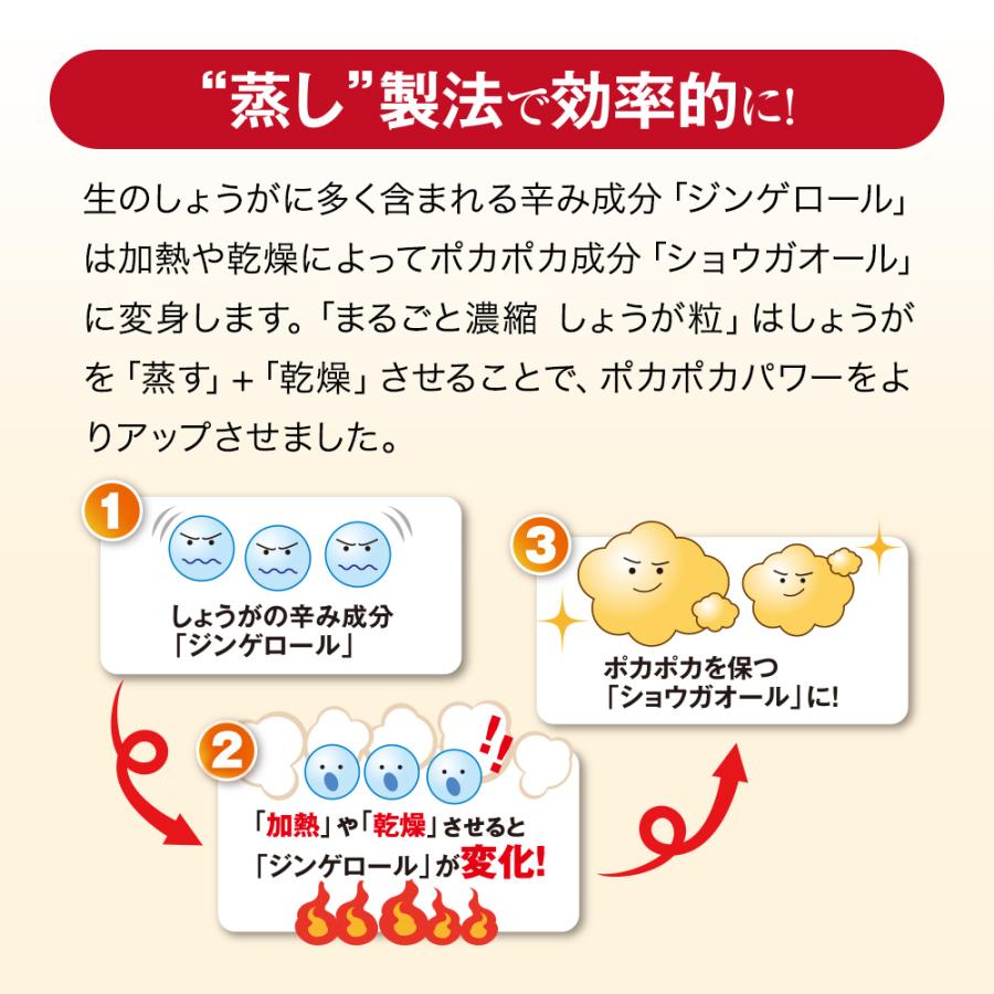 山田養蜂場 まるごと濃縮しょうが粒 60粒袋入 健康食品 サプリ