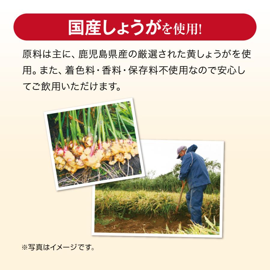 山田養蜂場 まるごと濃縮しょうが粒 60粒袋入 健康食品 サプリ