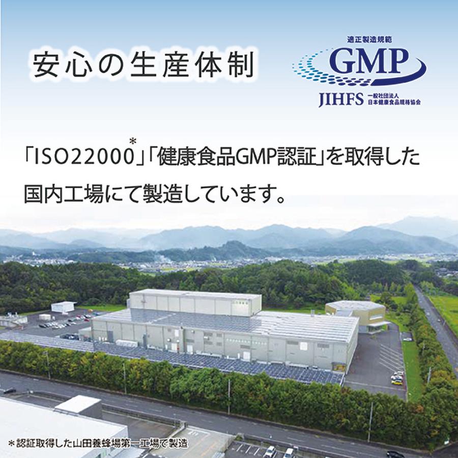 免疫分析研究センター 5-ALA（ファイブアラ）3袋セット サプリメント 日本製 450mg（1粒15mg） 約30日分×3 国内GMP認証工場 ISO アミノ酸 健康維持 送料無料_6