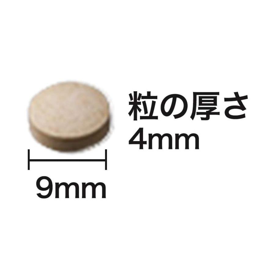 山田養蜂場 送料無料 レスベラトロール プラス 62粒ボトル入 ギフト プレゼント 健康食品 人気 健康 父の日｜yamada3838｜09