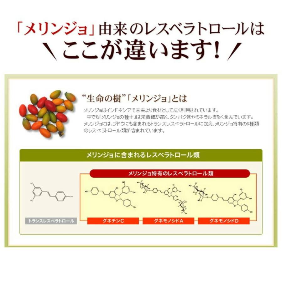 山田養蜂場 送料無料 レスベラトロール プラス 62粒袋入 3カ月セット 健康食品 サプリ 母の日｜yamada3838｜07