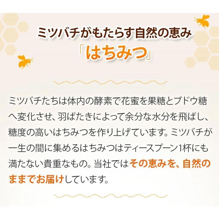 山田養蜂場 里山のぼだいじゅ蜂蜜 国産 1kg袋 グリホサート検査済 はちみつ ギフト 母の日_1