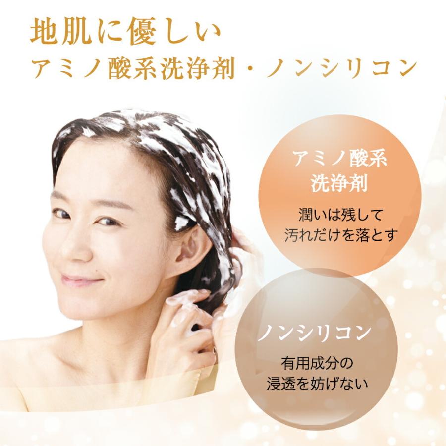 山田養蜂場 薬用 RJ地肌ケア シャンプー 医薬部外品 400ml ギフト
