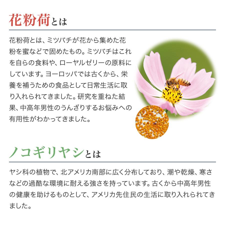 山田養蜂場 Zn立 Bee 90球入 花粉荷 ノコギリヤシ サプリメント