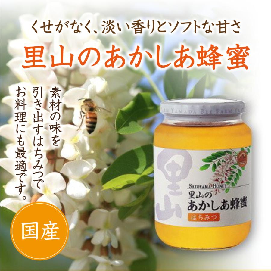 山田養蜂場　アカシア蜂蜜 12622_main.jpg