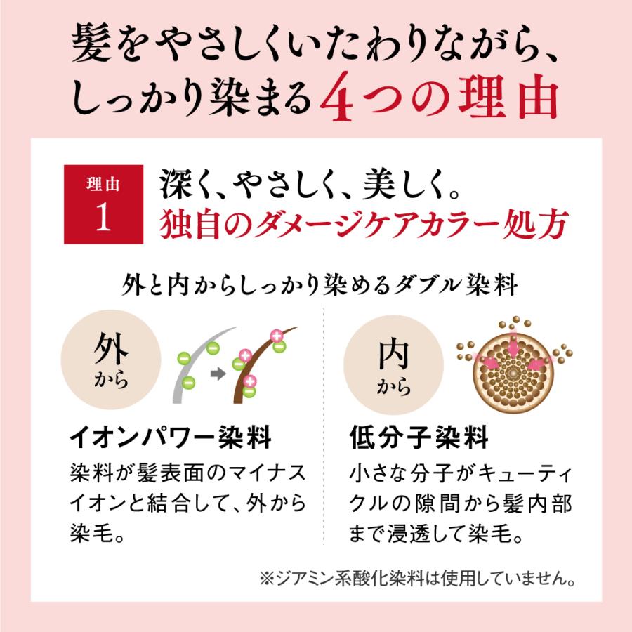 山田養蜂場 送料無料 RJヘアカラートリートメント ダークブラウン 210g ローヤルゼリー お歳暮|yamada3838|04