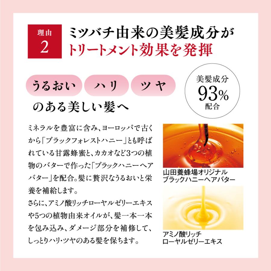 山田養蜂場 送料無料 RJヘアカラートリートメント ダークブラウン 210g ローヤルゼリー お歳暮|yamada3838|05