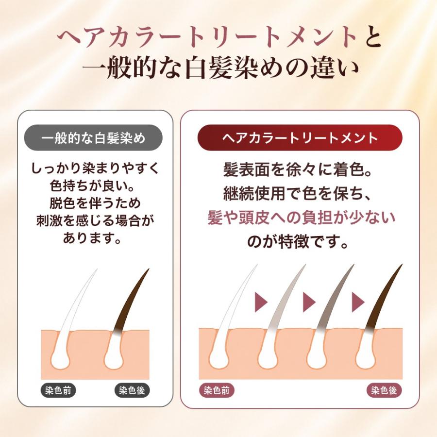 山田養蜂場 RJヘアカラートリートメント ダークブラウン 210g 白髪染め