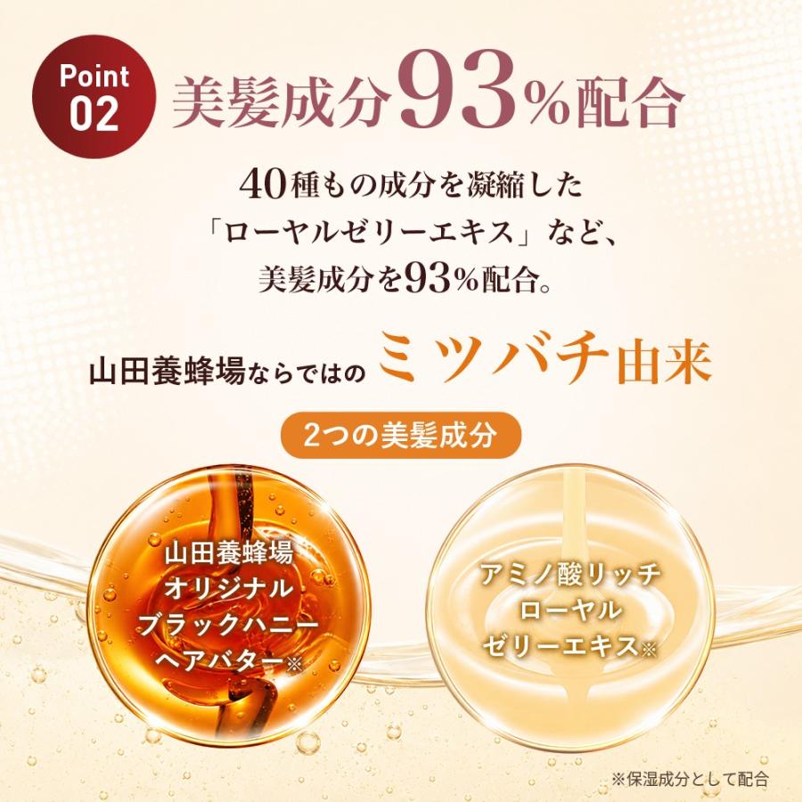 山田養蜂場 RJヘアカラートリートメント ダークブラウン 210g 白髪染め
