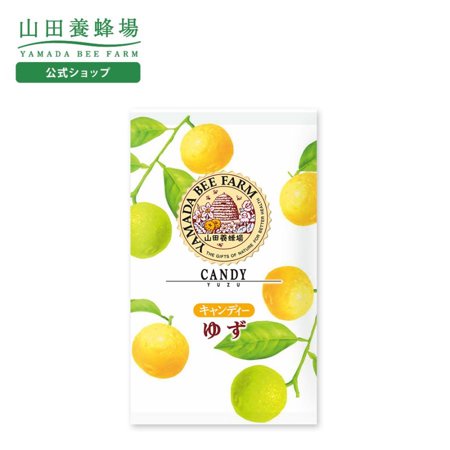 山田養蜂場 ハニーキャンディーゆず 100g入 24 26粒 はちみつ ギフト お中元 御中元 山田養蜂場 Paypayモール店 通販 Paypayモール