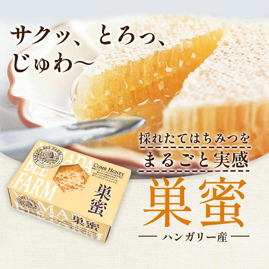 山田養蜂場 巣蜜(ハンガリー産)200g ミツロウ 蜜蝋 ハニートースト